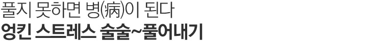 맵시있게 옷태를 살리자.