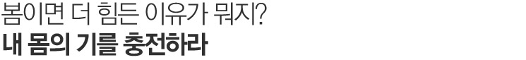 맵시있게 옷태를 살리자.
