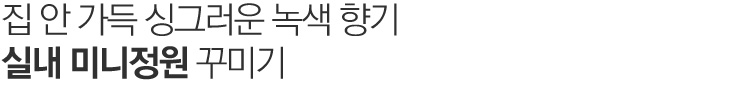맵시있게 옷태를 살리자.