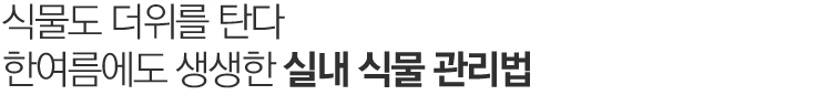맵시있게 옷태를 살리자.